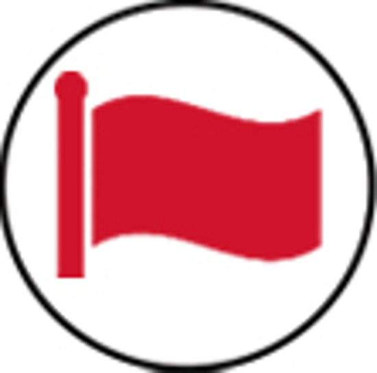 Picture of Military Sale Pin - Flag